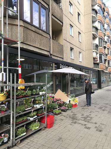 Daisies Berlin — Florist